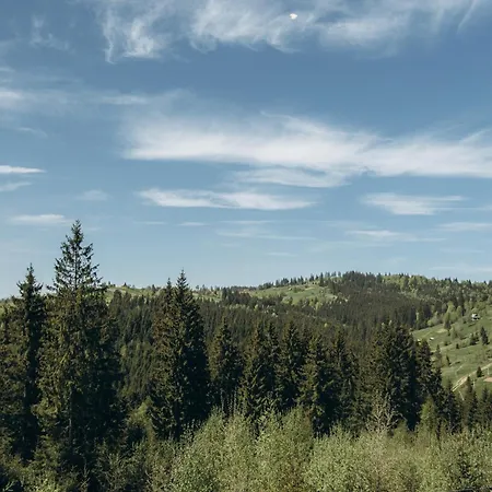 Skogur - &